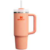 The Quencher H2.0 Flowstate™ Tumbler | 30 OZ - Stanley Create
